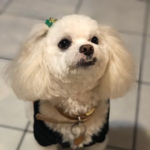 Meet your Posher, Cristina